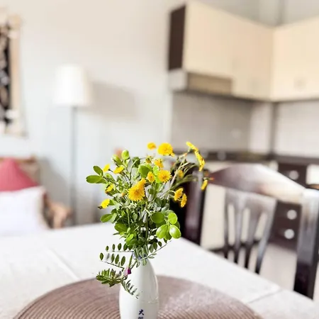 Apartment Afordable With Free Parking Durres